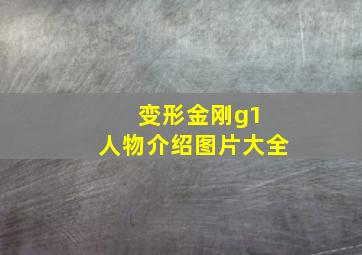 变形金刚g1 人物介绍图片大全